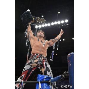 【おまけCL付】新品 新日本プロレス2015年総集編 / (DVD) TCED-02983-TC｜softya