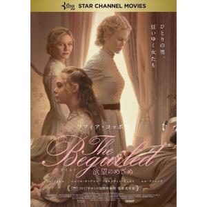 【おまけCL付】新品 The Beguiled ビガイルド 欲望のめざめ / コリン・ファレル、ニコール・キッドマン (DVD) TCED4197-TC