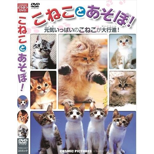 【おまけCL付】新品 こねことあそぼ ペルシャ スコティッシュ・フォールド デボン・レックス メイン...