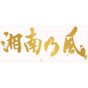 湘南乃風 新曲