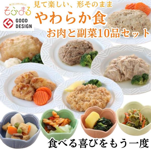 介護食 やわらか食 送料無料 お肉と副菜10品セット 冷凍 柔らかい 介護食品 やわらか食品 歯ぐき...