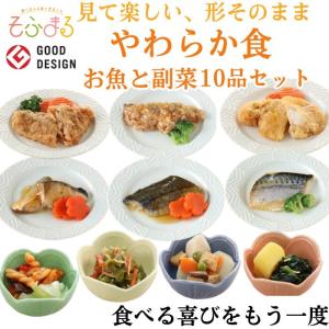 介護食 やわらか食 お魚と副菜10品セット 冷凍 柔らかい 介護食品