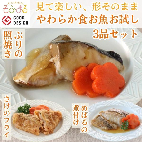 介護食 やわらか食 送料無料  お魚 お試し 3品セット 冷凍 柔らかい 介護食品 やわらか食品 歯...