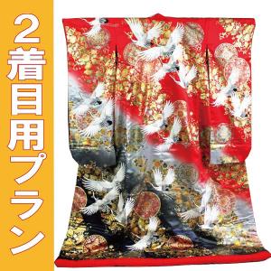 色打掛レンタル／おまかせフルセット／紫地 高級相良刺繍サラサ鳳凰文
