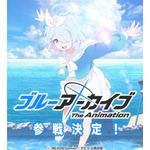 ブシロード BOX ヴァイスシュヴァルツロゼ ブースターパック ブシロード BOX ヴァイスシュヴァルツロゼ ブースターパック
