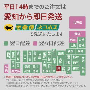 NEC用 ドットインパクト プリンター リボン...の詳細画像5