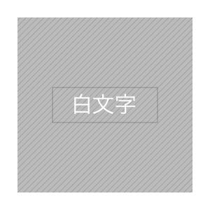 ＼8/14全品P増倍/カシオ用 ネームランド ...の詳細画像1