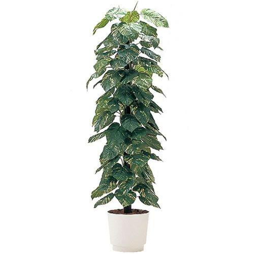 人工樹木 カレン イトーキ ジャイアントポトス H150cm 自社便 開梱 設置付