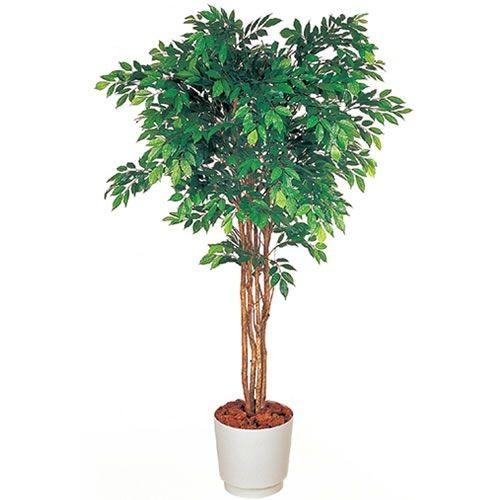 人工樹木 カレン イトーキ ケヤキ H180cm 自社便 開梱 設置付