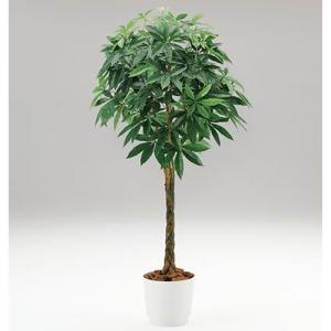 人工樹木 カレン イトーキ パキラ H190cm...の商品画像