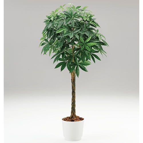 人工樹木 カレン イトーキ パキラ H190cm 自社便 開梱 設置付