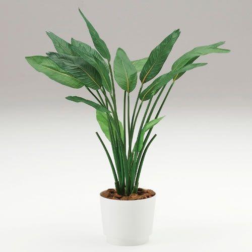 人工樹木 カレン イトーキ ストレチア ダブルH105cm 自社便 開梱 設置付