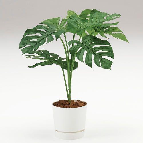 人工樹木 カレン イトーキ モンステラ H90cm 自社便 開梱 設置付