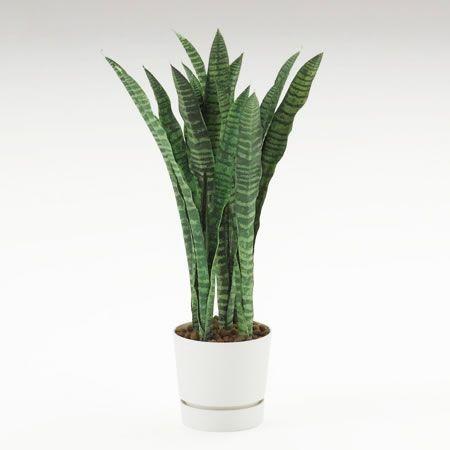 人工樹木 カレン イトーキ サンセベリア シングルH65cm 自社便 開梱 設置付