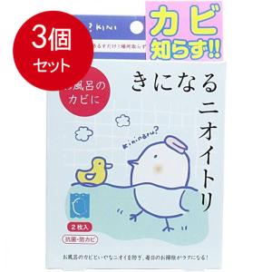 3個まとめ買い 太洋 きになるニオイトリ お風呂用 2枚入メール便送料無料 ×3個セット｜sohshop2