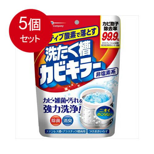 5個まとめ買い アクティブ酸素で落とす洗濯槽カビキラー250G 送料無料 × 5個セット