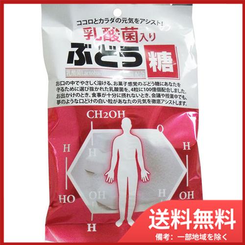大丸本舗 乳酸菌入り ぶどう糖 2g×20粒 メール便送料無料