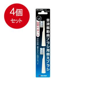 ダイキン 純正 セラムヒート ERFT11USE5 ERFT11US-W ERFT11TS-W用