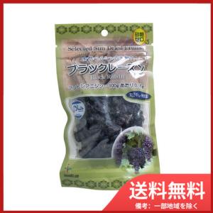 バイオシード 古代ペルシャの宝物 ブラックレーズ...の商品画像