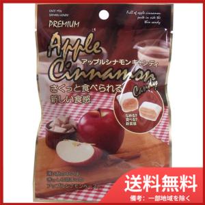 大丸本舗 さくっと食べられるアップルシナモンキャンディ 42g