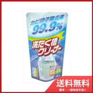 粉末洗濯槽クリーナー　120G　 メール便送料無料｜sohshop