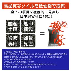 ソイル 6kg 天然 熱帯魚 低床 ブラック ...の詳細画像4