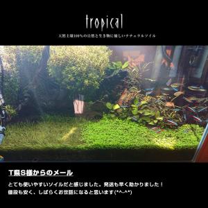 ソイル 6kg 天然 熱帯魚 低床 ブラック ...の詳細画像5