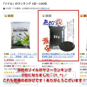ソイル 6kg ブラックソイル 水草 熱帯魚 ...の詳細画像1