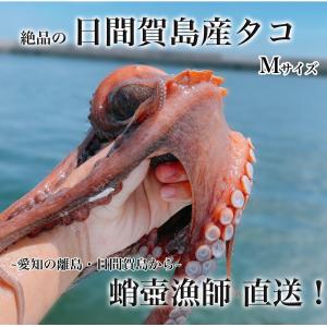 生たこ冷凍の商品一覧 通販 Yahoo ショッピング