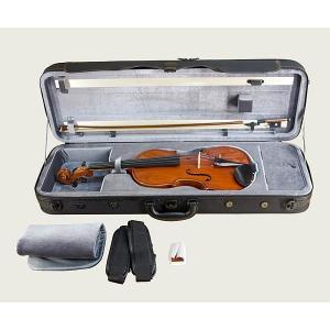 エターナル（ETERNAL） 鈴木バイオリン エターナルNo.1100-4/4（単体