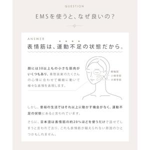 SALONIA サロニア EMSリフトブラシ ...の詳細画像2