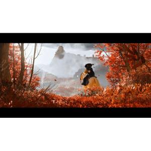 Ghost of Yotei 通常版 PS5 ...の詳細画像2