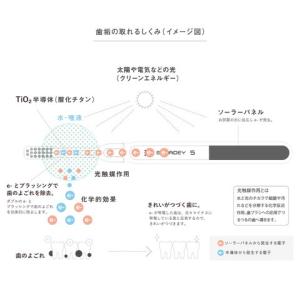 【最新モデル】ソラデー5 手磨き 歯ブラシ ソ...の詳細画像2