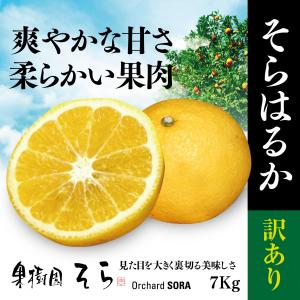 そらはるか【天空の農園/訳あり】7kg