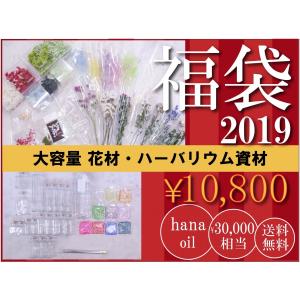 お得 プリザーブドフラワー 花材 ハーバリウム資材 福袋 送料無料