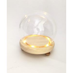 ガラスドーム 花器 LEDライト付 土台付き 球型 Ｍ 光るドーム