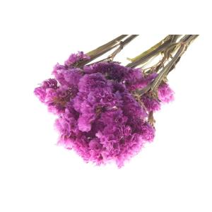 スターチス ドライフラワーの商品一覧 通販 Yahoo ショッピング