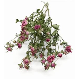 ドライフラワー 花材 リトルウッズ ピンク 約20輪 spds0175