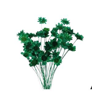 そらプリ ドライフラワー 花材 スターフラワー ブロッサム