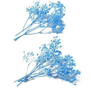 お花の贈り物そらーる カスミソウ ミリオンスター かすみ草 Yahoo ショッピング