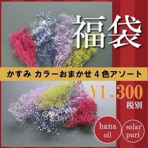 プリザーブドフラワー 花材 セット かすみ草 4色 アソート 詰め合わせ オリジナル ハンドメイド カスミ そらーる 大地農園 送料無料｜solargift