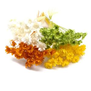 ドライフラワー 花材セット スターフラワーブロッサム