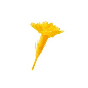 極小 プリザーブドフラワー 花材 マイクロ カーネーション イエロー 小分け 4輪 材料 母の日 黄色 小さい ハーバリウム 花 箱｜solargift