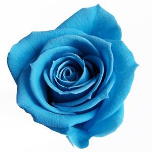 ニーナローズ ブルー 小分け 1輪入 プリザーブドフラワー 材料 花材｜solargift