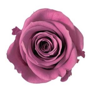 プリザーブドフラワー 花材 アヴァ ローズ ローズワイン 小分け 1輪 バラ売り の最安値 価格比較 送料無料検索 Yahoo ショッピング
