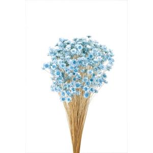 そらプリ ドライフラワー 花材 スターフラワー ブロッサム