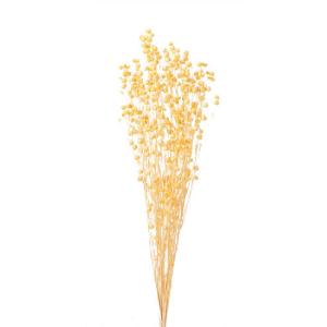 ドライフラワー 花材 リンフラワー ジュリア オ...の商品画像