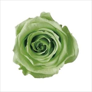 プリザーブドフラワー 花材 アヴァ ローズ プレーリーグリーン 小分け 1輪 バラ 最安値 価格比較 Yahoo ショッピング 口コミ 評判からも探せる