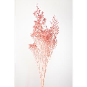 ドライフラワー 花材 カスピア ピンク 約20g 大地農園 材料 小花 材料 資材 ハンドメイド｜solargift