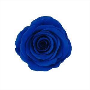 プリザーブドフラワー 花材 かのん・Ｍ インディゴブルー 箱9輪 大地農園 青 バラ ローズ 大きいバラ｜solargift